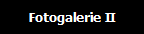 Fotogalerie II